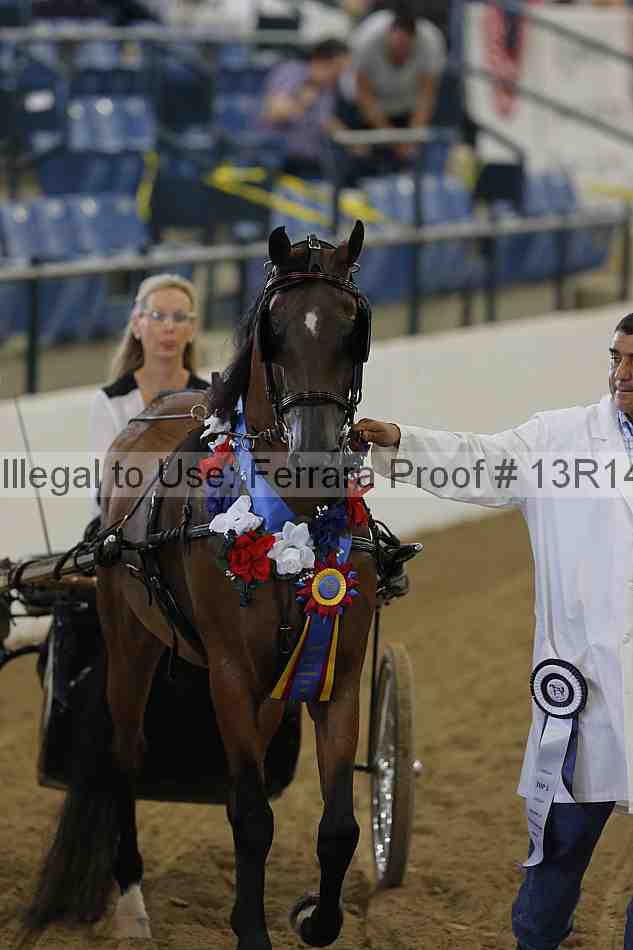 Proof 13r14_0231