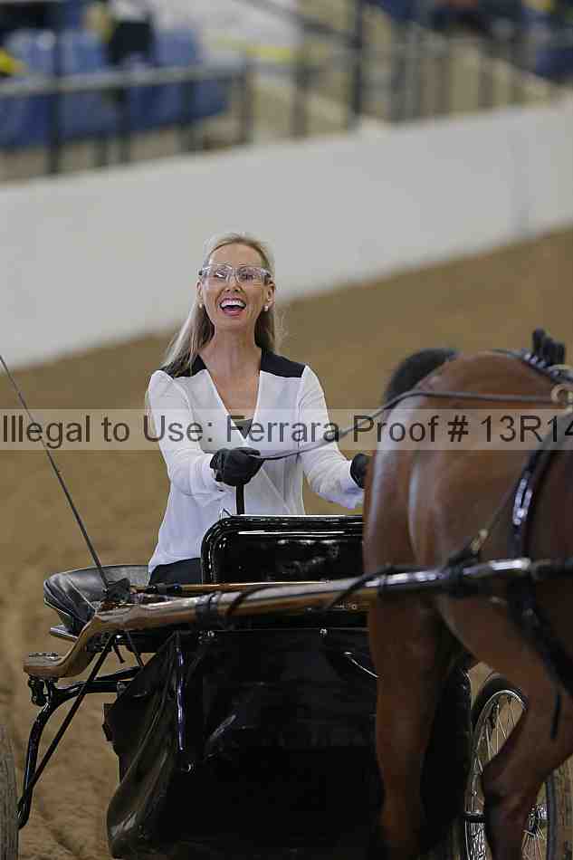 Proof 13r14_0232