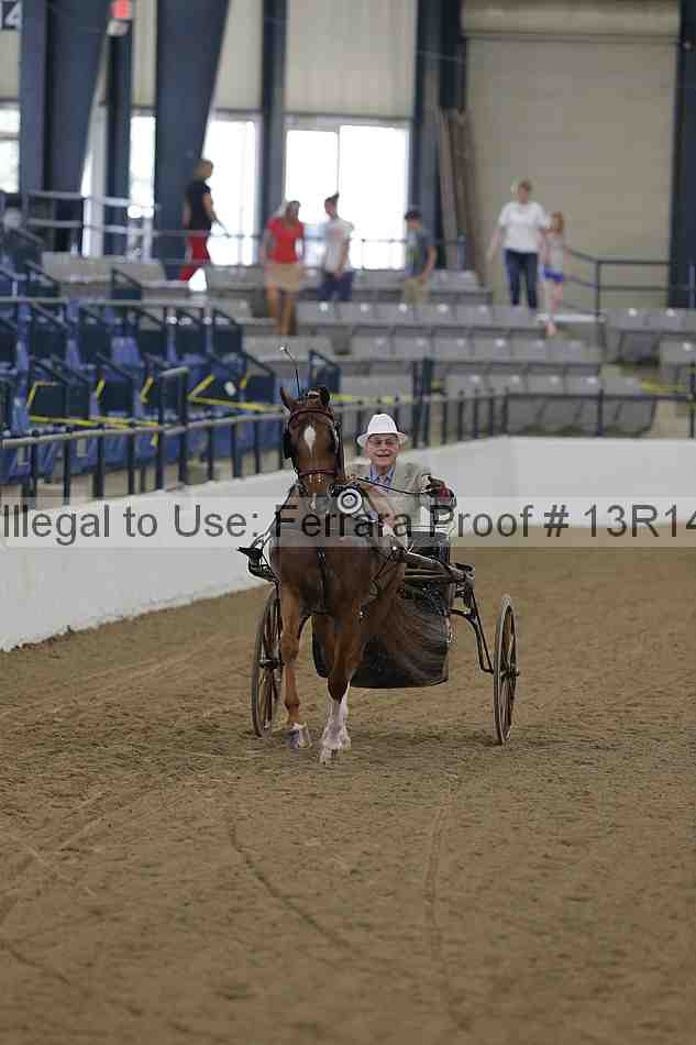 Proof 13r14_0237