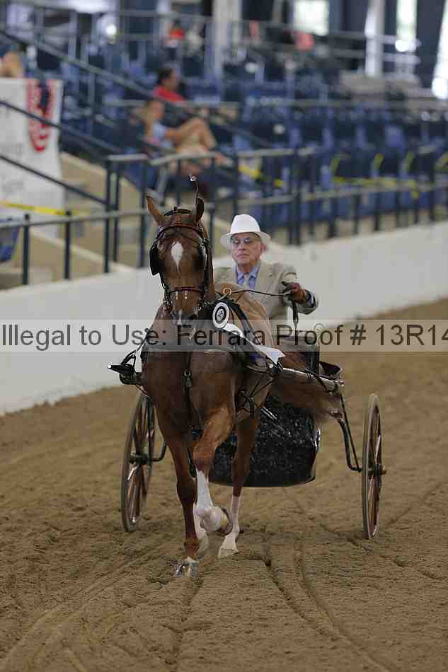 Proof 13r14_0239