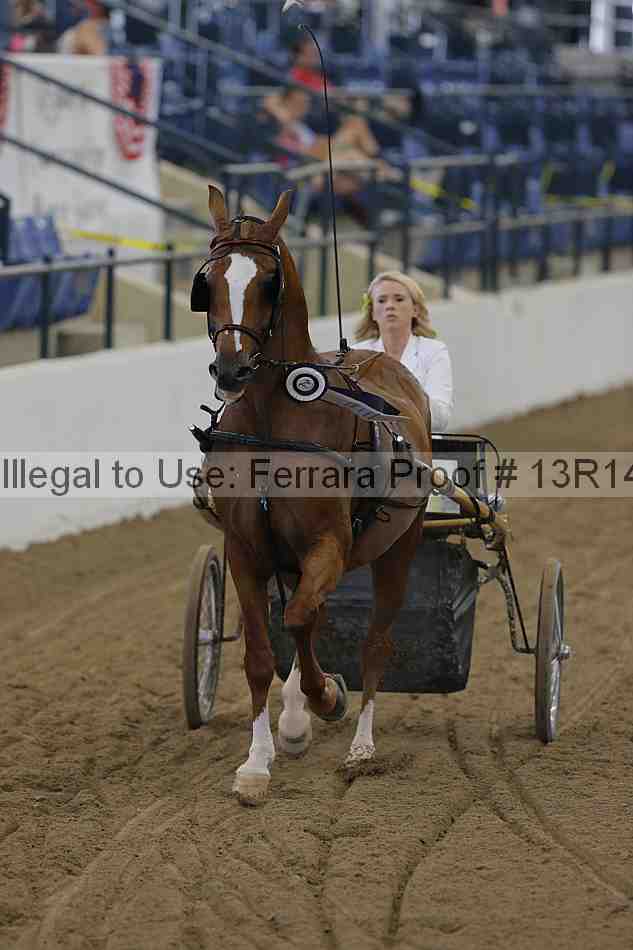Proof 13r14_0243