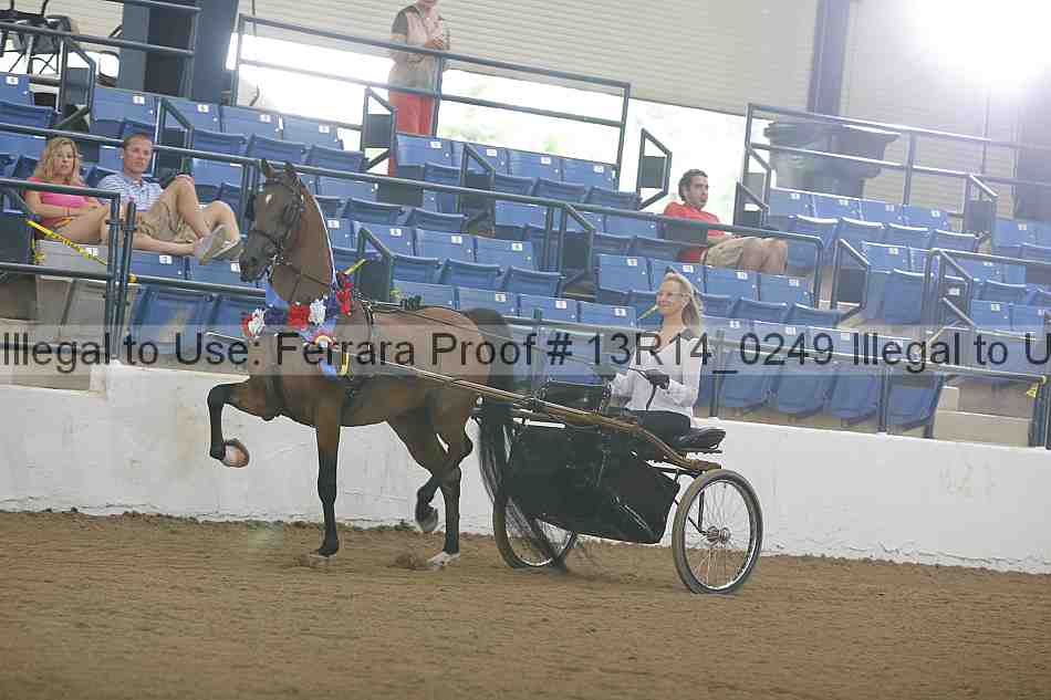 Proof 13r14_0249