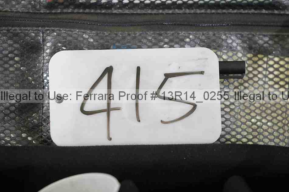 Proof 13r14_0255