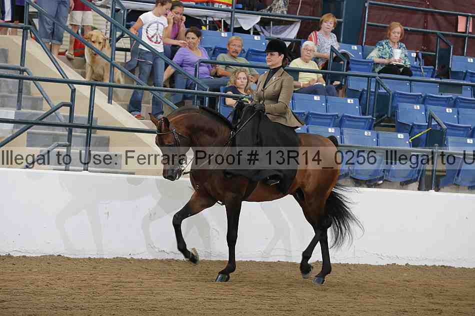 Proof 13r14_0256