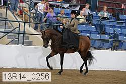 13r14_0256 proof
