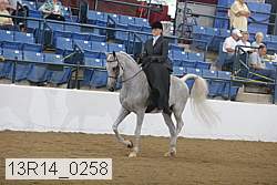 13r14_0258 proof