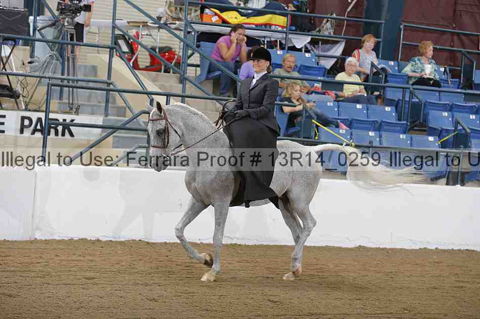 Proof 13r14_0259