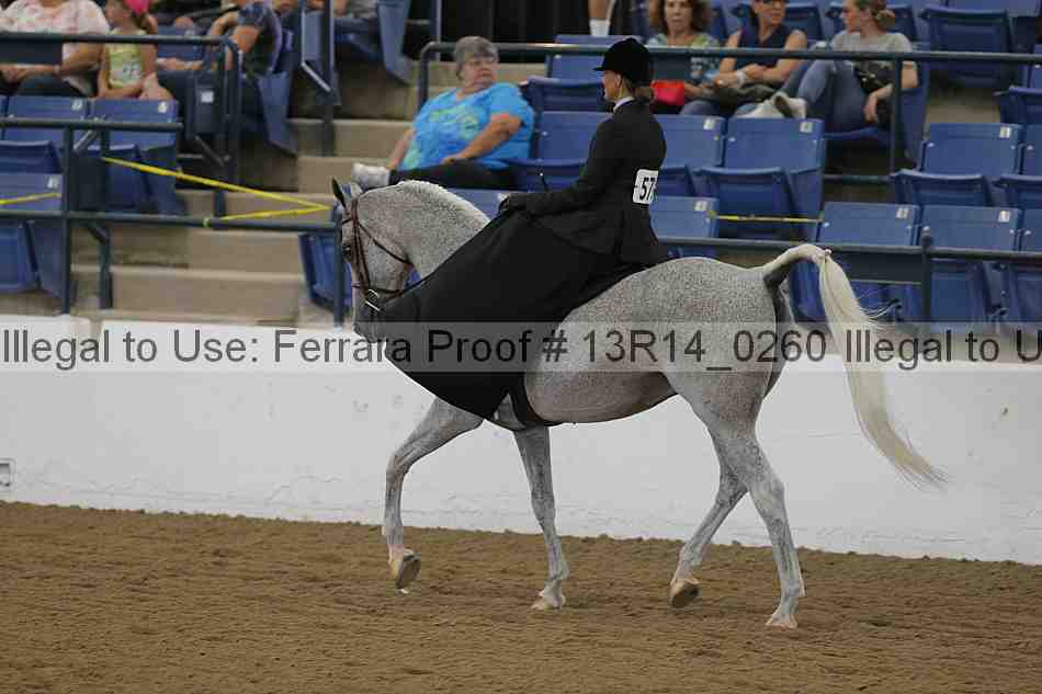Proof 13r14_0260
