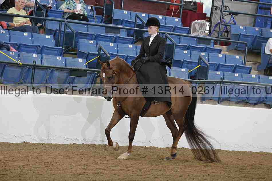Proof 13r14_0261