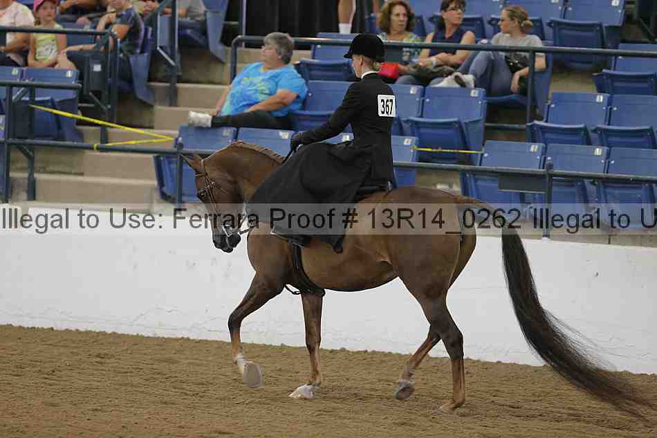 Proof 13r14_0262