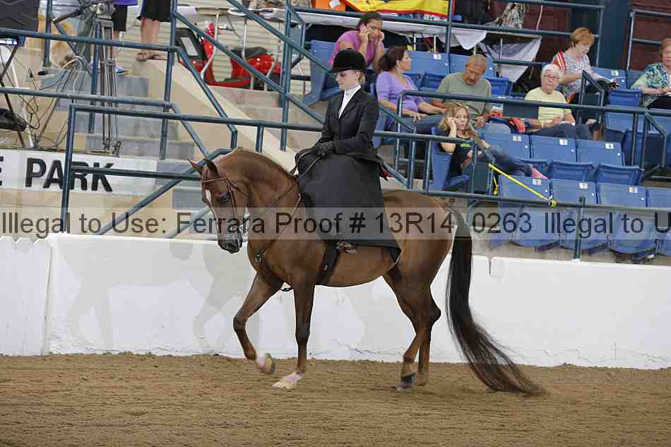 Proof 13r14_0263