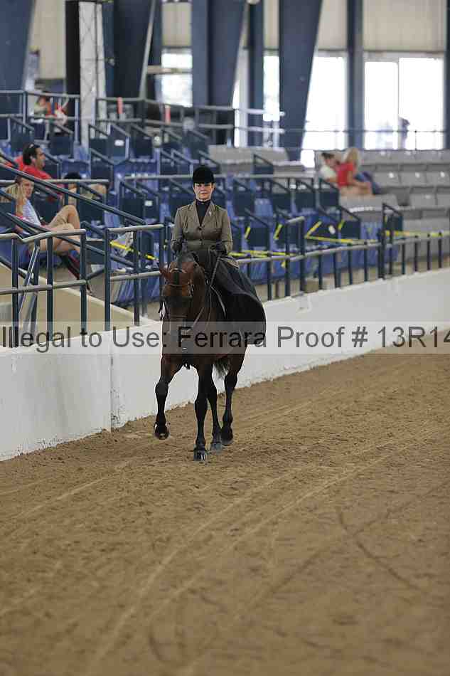 Proof 13r14_0264