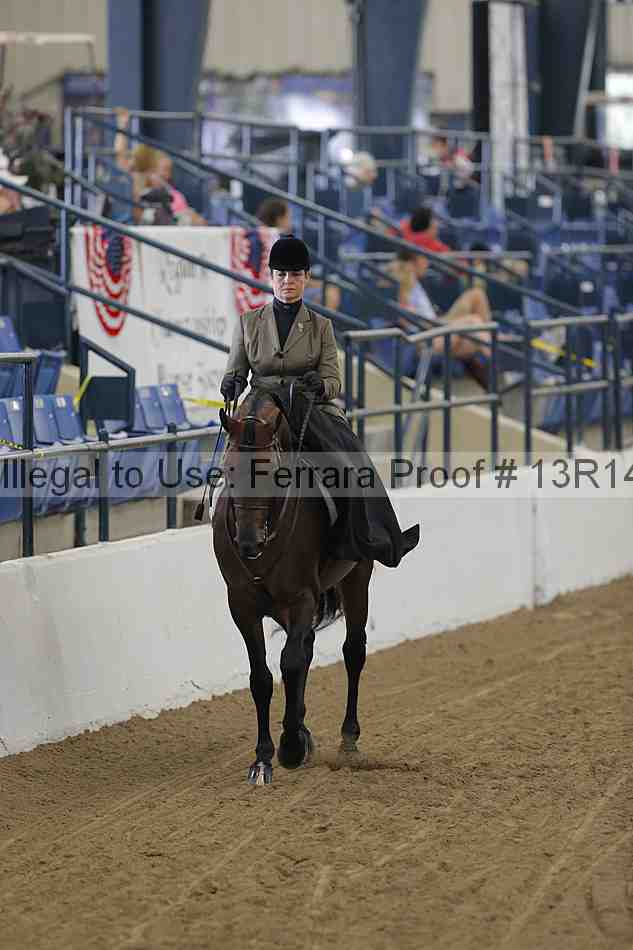 Proof 13r14_0265