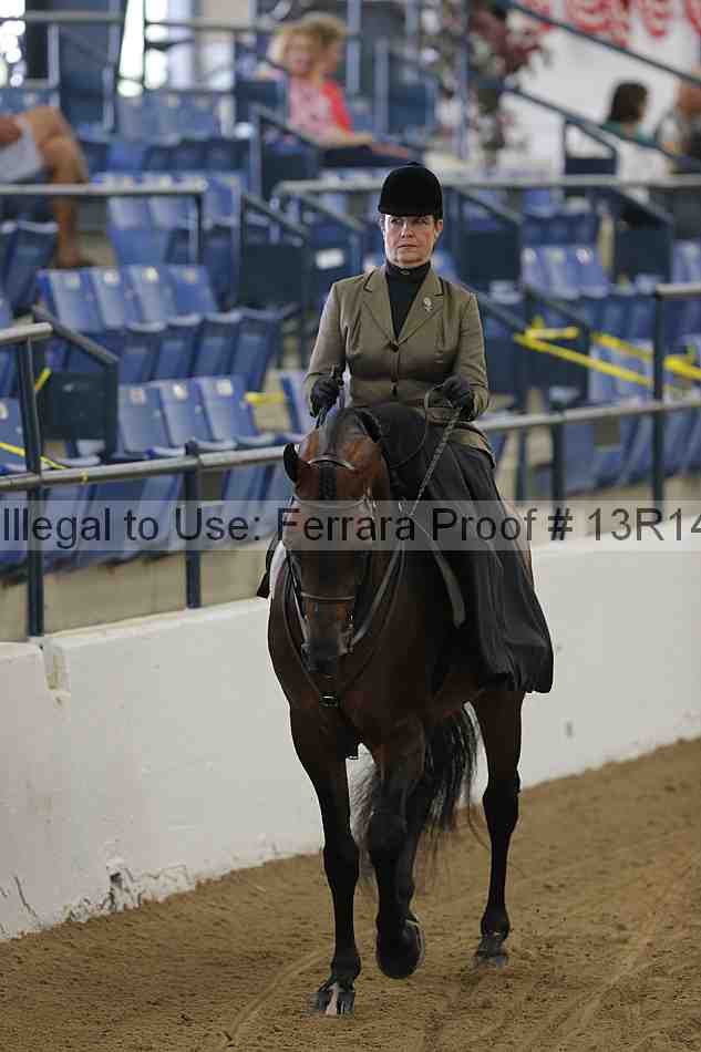 Proof 13r14_0266