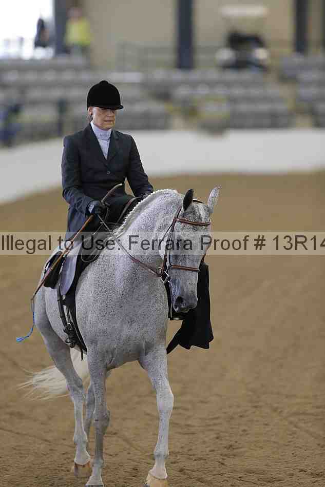Proof 13r14_0268