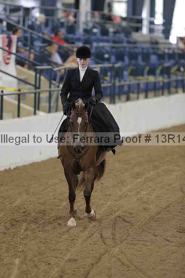 Proof 13r14_0269