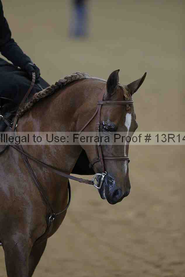 Proof 13r14_0271