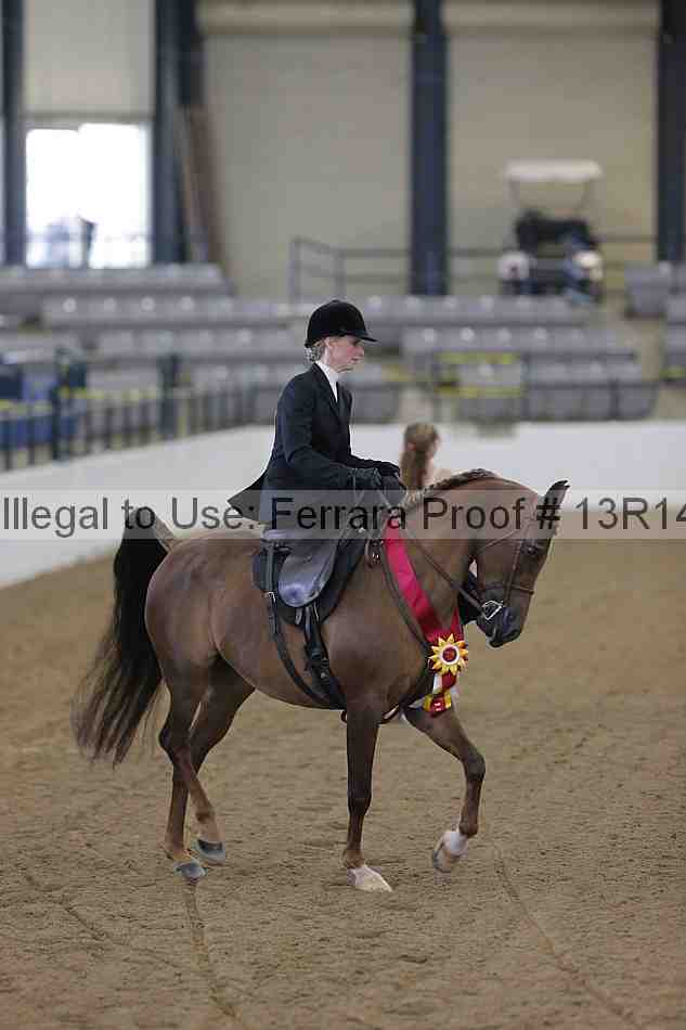 Proof 13r14_0274