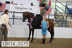 13r14_0275 proof