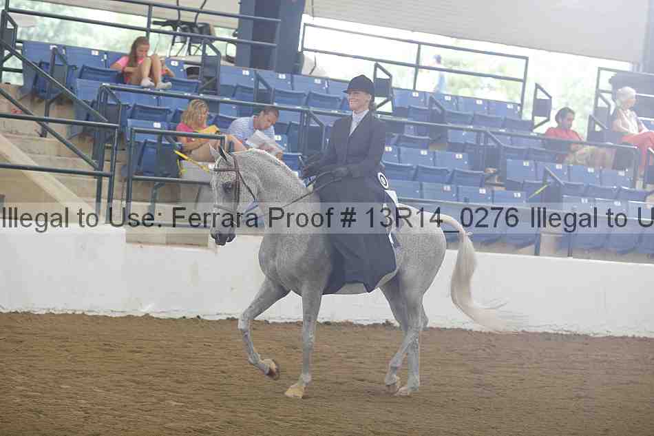 Proof 13r14_0276