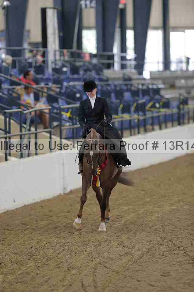 Proof 13r14_0282