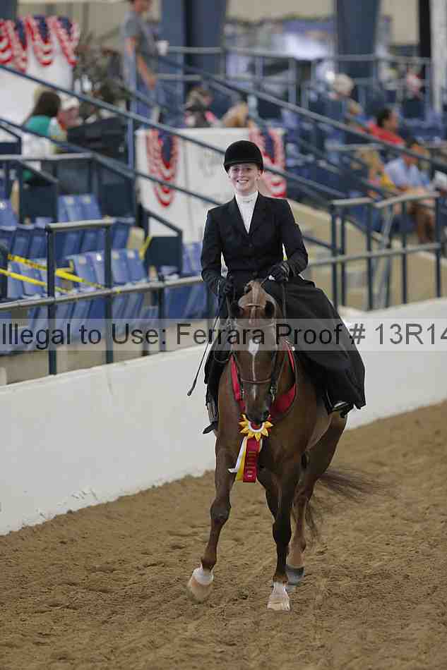Proof 13r14_0285