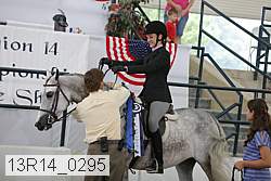 13r14_0295 proof
