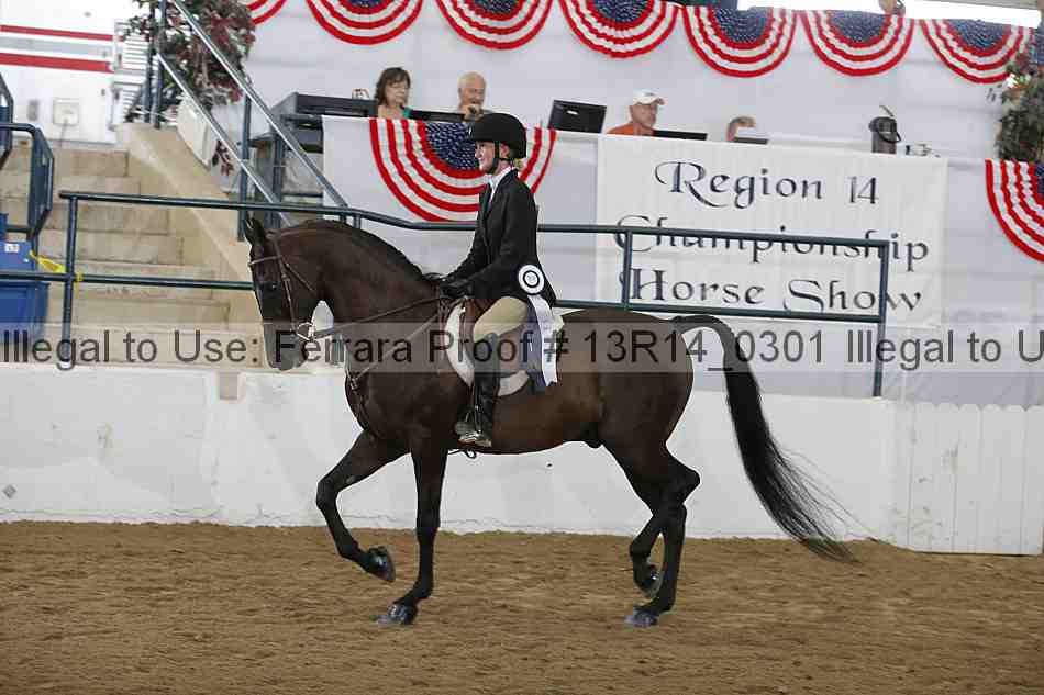 Proof 13r14_0301