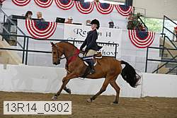 13r14_0302 proof
