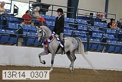 13r14_0307 proof