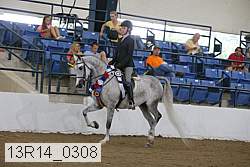 13r14_0308 proof
