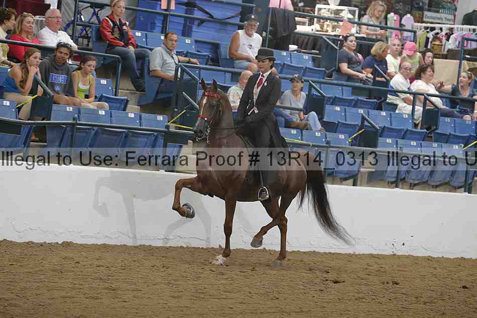Proof 13r14_0313