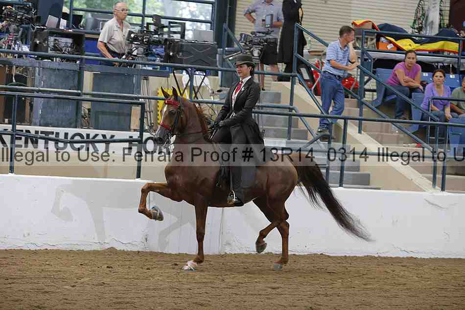 Proof 13r14_0314