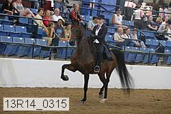13r14_0315 proof