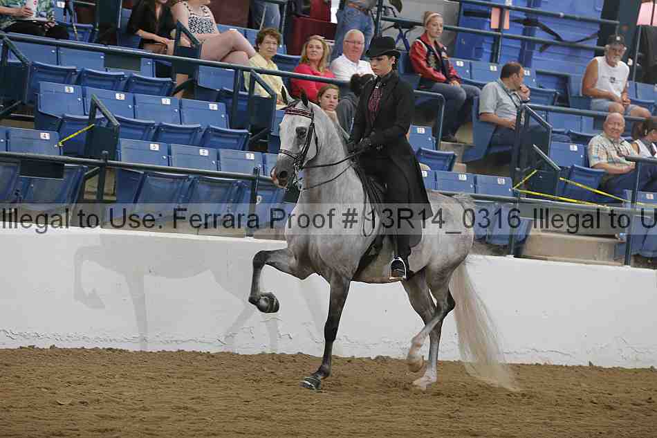 Proof 13r14_0316