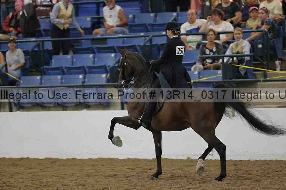 Proof 13r14_0317