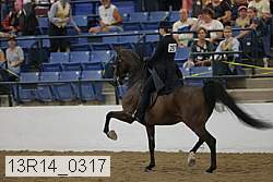 13r14_0317 proof