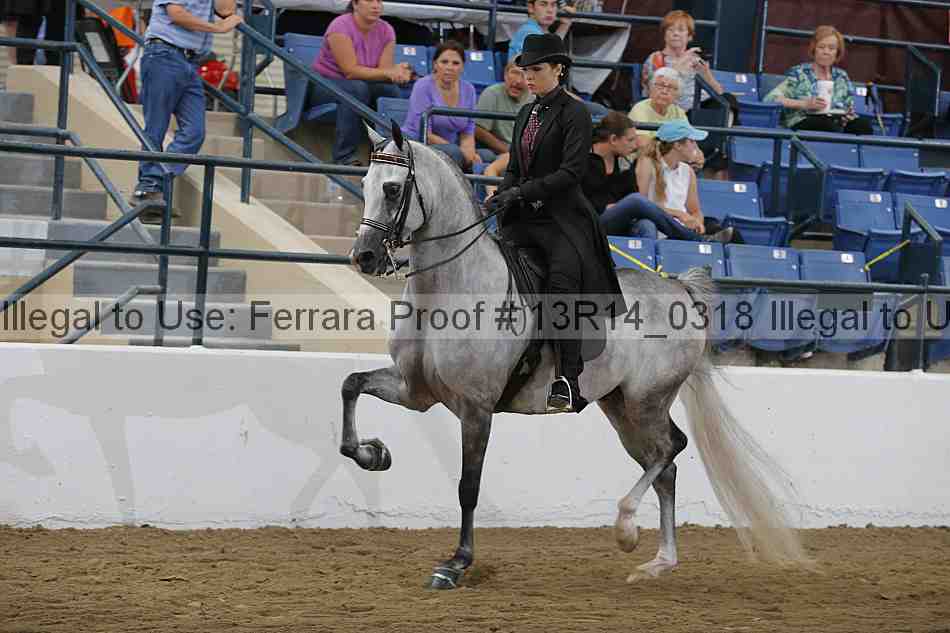 Proof 13r14_0318