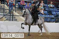 13r14_0318 proof