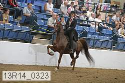 13r14_0323 proof