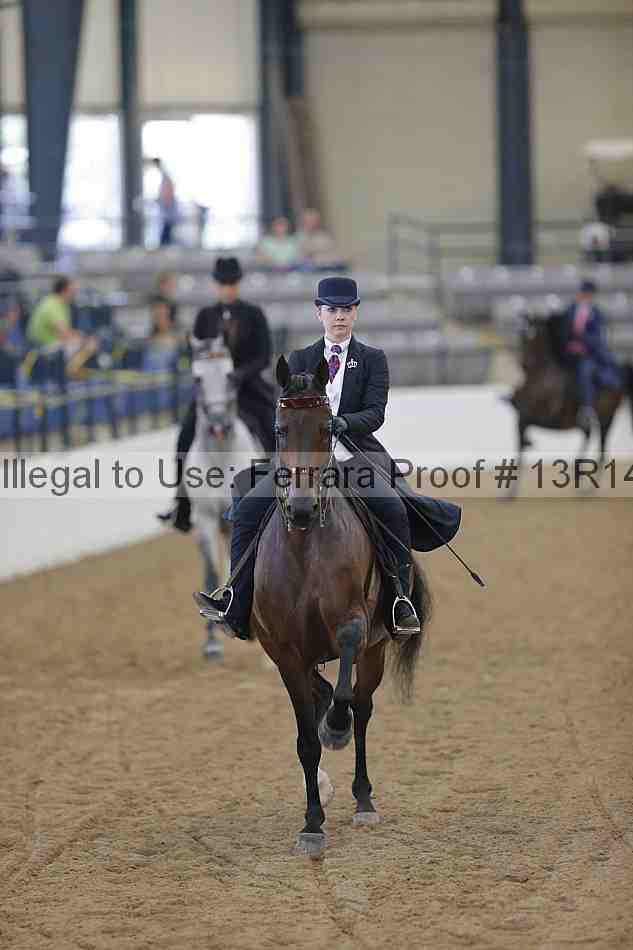 Proof 13r14_0324