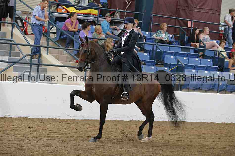 Proof 13r14_0328