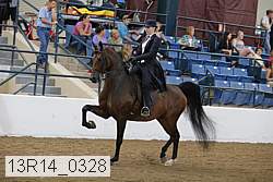 13r14_0328 proof