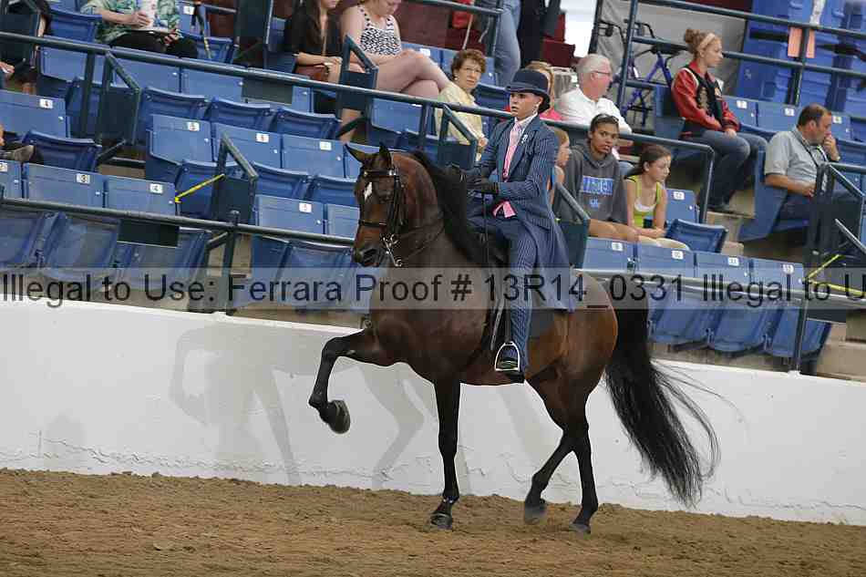 Proof 13r14_0331