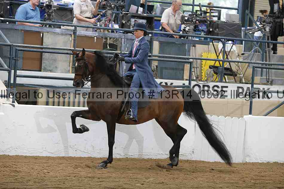 Proof 13r14_0332