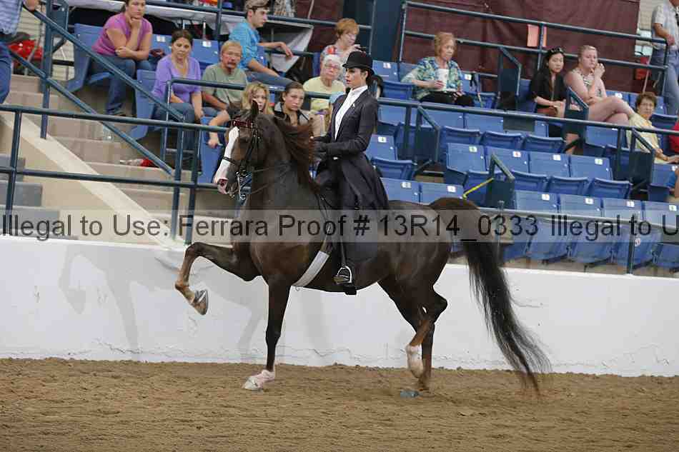 Proof 13r14_0333
