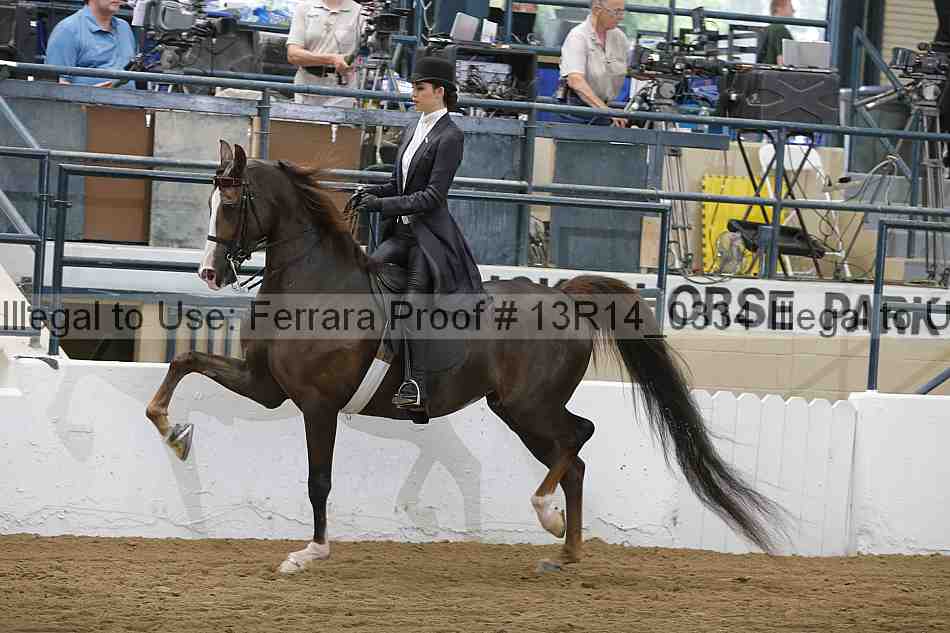 Proof 13r14_0334