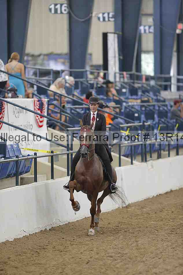Proof 13r14_0336