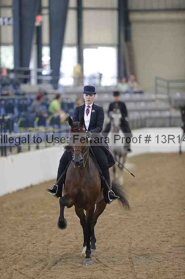 Proof 13r14_0337