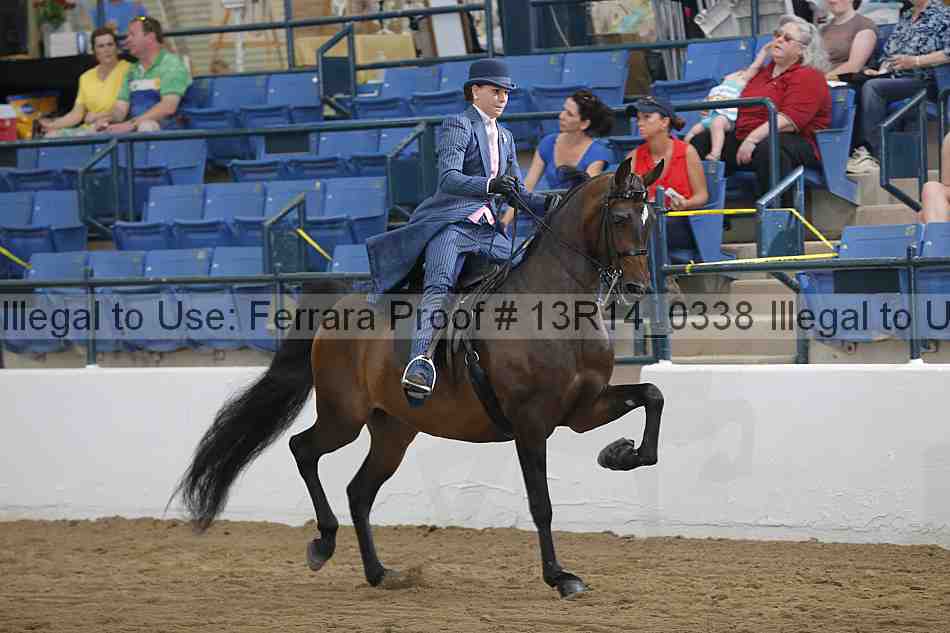 Proof 13r14_0338